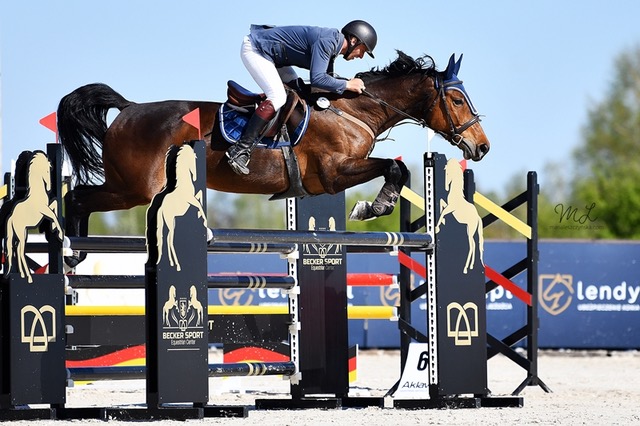 Polski Związek Jeździecki Odznaki